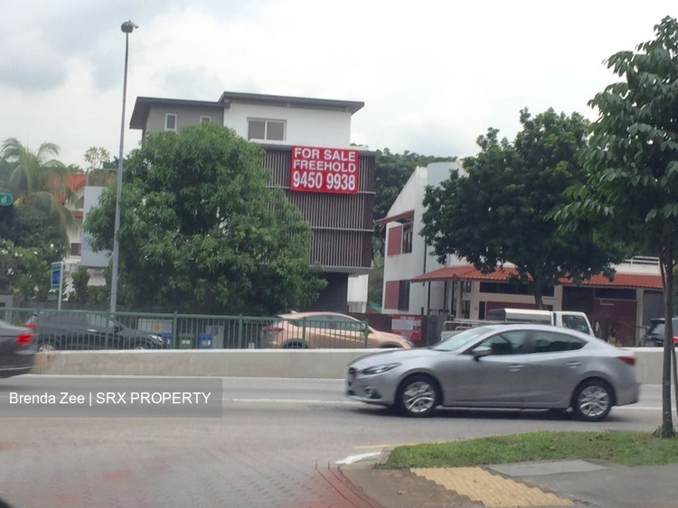 Braddell Road (D13), Detached #197884832